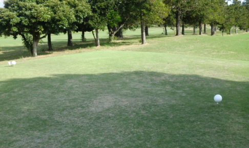 ゴルフ場のレギュラーティー